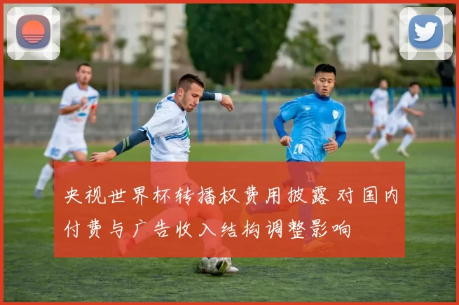 央视世界杯转播权费用披露 对国内付费与广告收入结构调整影响
