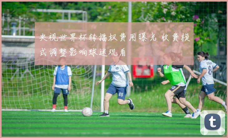 央视世界杯转播权费用曝光 收费模式调整影响球迷观看