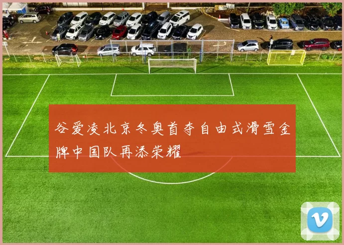 谷爱凌北京冬奥首夺自由式滑雪金牌中国队再添荣耀