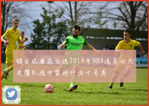 锡安威廉森当选2019年NBA选秀状元老鹰队选中雷迪什为十号秀