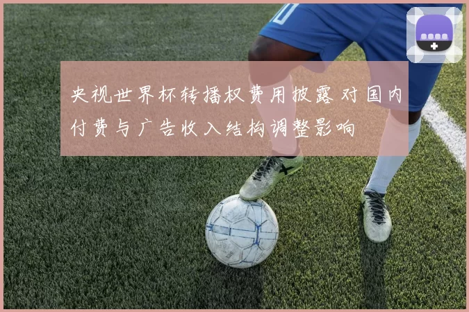 央视世界杯转播权费用披露 对国内付费与广告收入结构调整影响