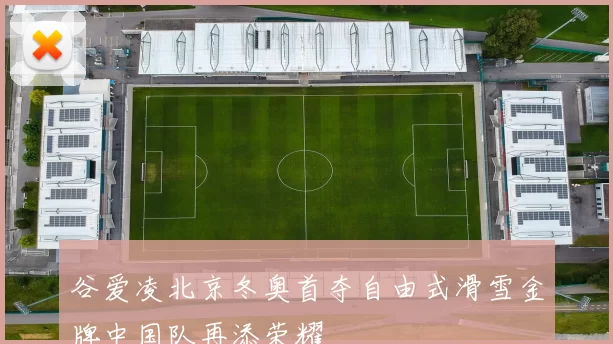 谷爱凌北京冬奥首夺自由式滑雪金牌中国队再添荣耀